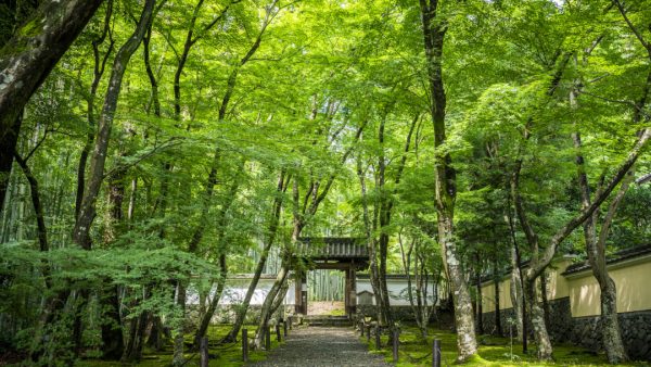 地蔵院